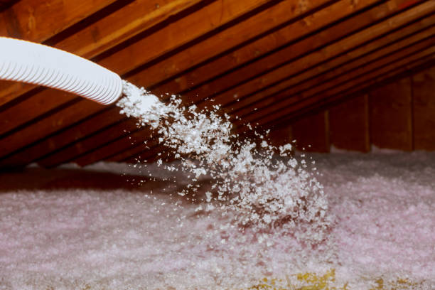 Best DIY Insulation Kits and Guidance in Chain Lake, WA