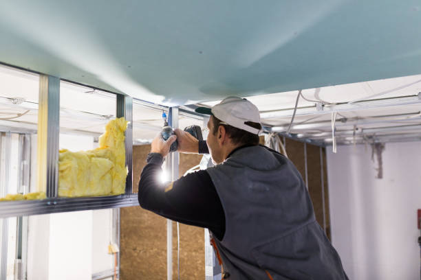 Best Specialized Insulation Services in Chain Lake, WA