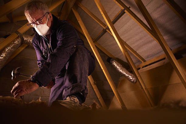 Types of Insulation We Offer in Chain Lake, WA